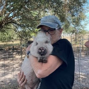 Meet your Posher, Beverly